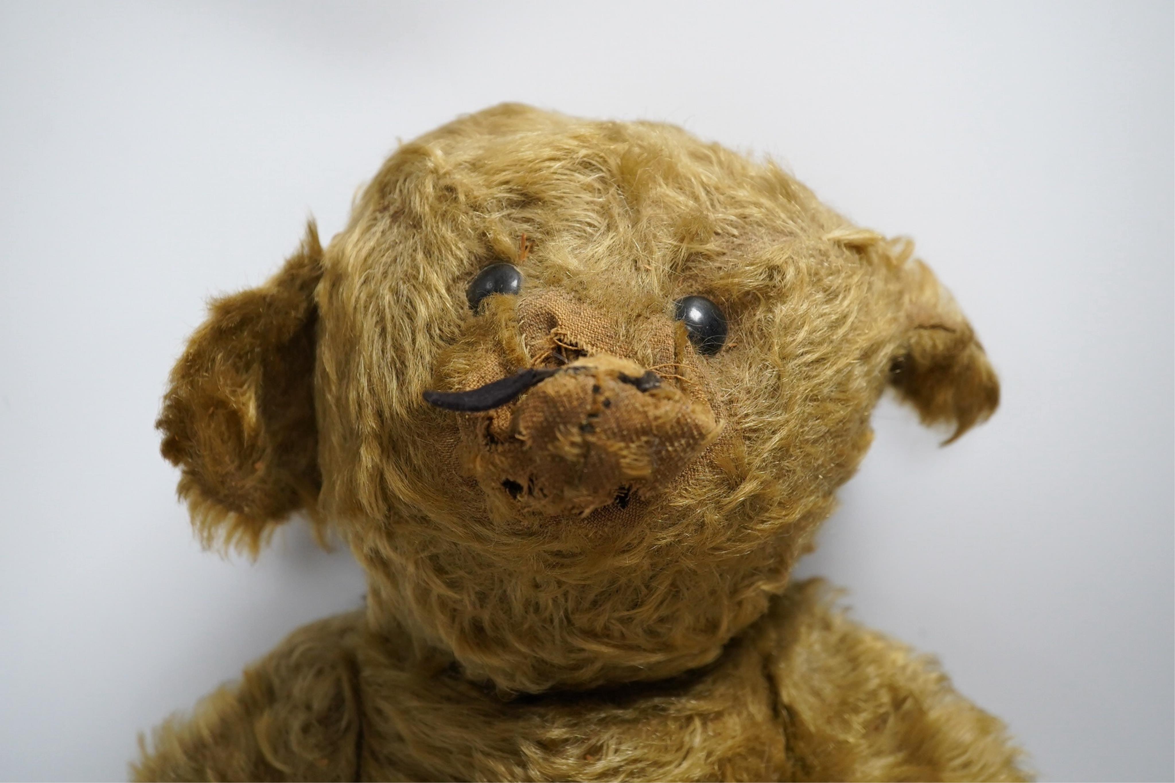 A Steiff gold plush teddy bear, c.1910, with boot-button eyes and hump-back, with button in left ear, circa 1910, 48cm. Condition - poor to fair